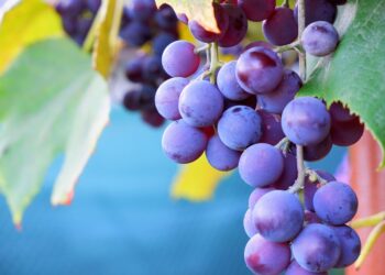 10 Proven Strategies: How to Increase Your Credit Score Quickly and Effectively