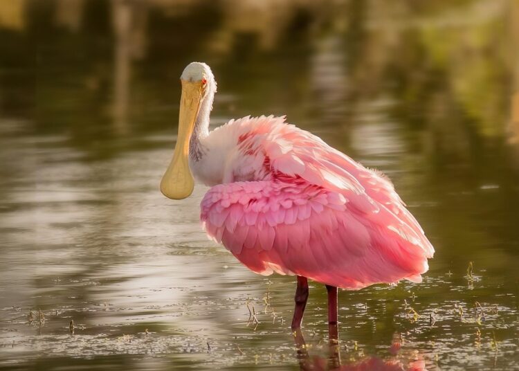 10 Proven Tips on How to Lower Your Electric Bill This Month