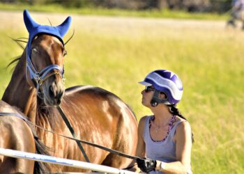 ETF vs Mutual Fund: How to Choose the Right Investment for Your Financial Goals