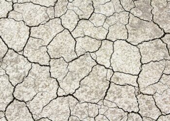 How to Create Your First Budget: Download Our Free Budget Template