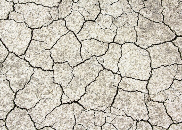 How to Create Your First Budget: Download Our Free Budget Template