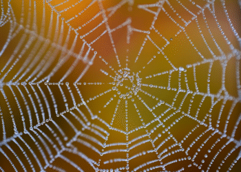 How to Create Your Own Free Net Worth Tracker Spreadsheet in 5 Easy Steps