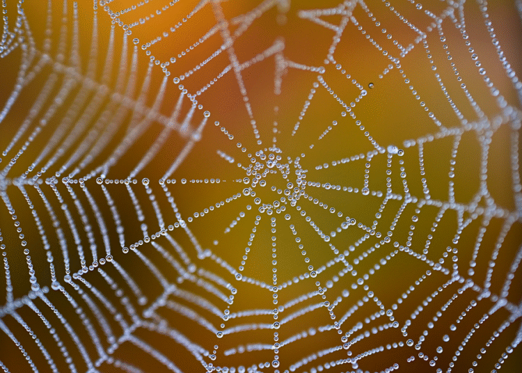 How to Create Your Own Free Net Worth Tracker Spreadsheet in 5 Easy Steps