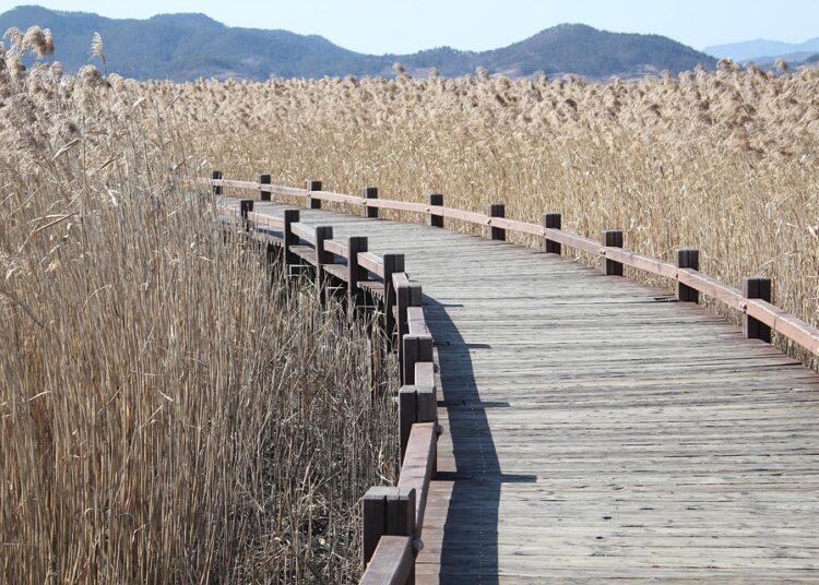 How to Master Budgeting Methods for Beginners: A Step-by-Step Guide