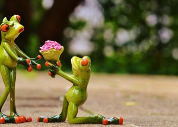 How to Maximize Your Income Targeting: A Step-by-Step Guide for Entrepreneurs