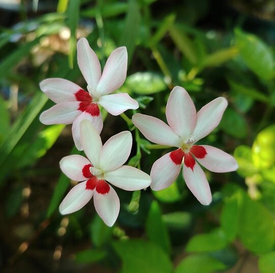 Top 7 Best Debt Payoff Strategies: Which Method Will Work for You? Top 7 Best Debt Payoff Strategies: Which Method Will Work for You?