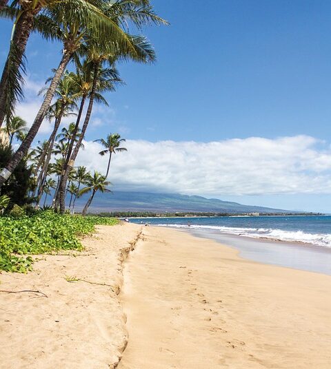 What is True Passive Income? A Comprehensive Guide for Beginners