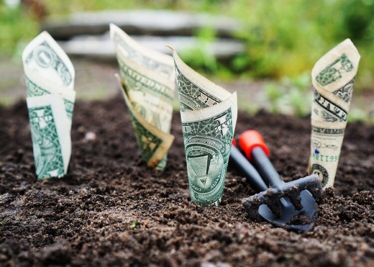 What is a High-Yield Savings Account? Your Complete Guide to Maximizing Your Savings