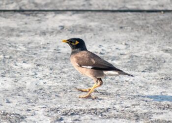 10 Common Budgeting Mistakes You Didn’t Know You Were Making (And How to Fix Them)