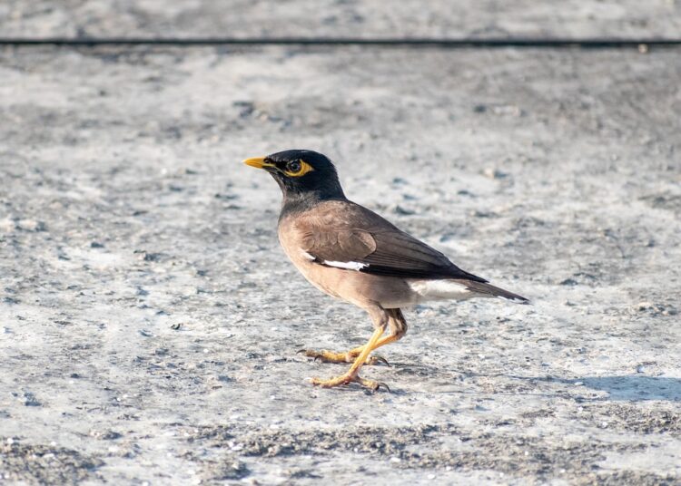 10 Common Budgeting Mistakes You Didn’t Know You Were Making (And How to Fix Them) 10 Common Budgeting Mistakes You Didn’t Know You Were Making (And How to Fix Them)