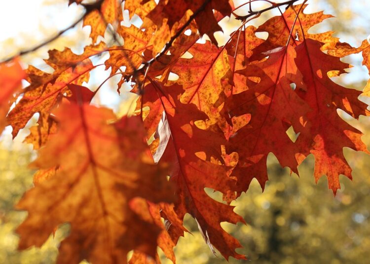 10 Common Liabilities That Are Silently Eroding Your Net Worth