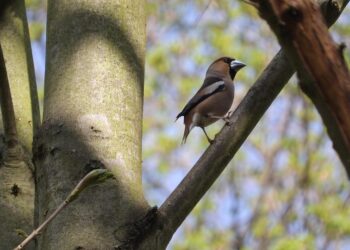 10 Creative Ways on How to Have Fun on a Budget Without Sacrificing Enjoyment