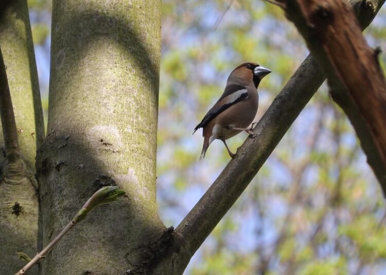 10 Creative Ways on How to Have Fun on a Budget Without Sacrificing Enjoyment