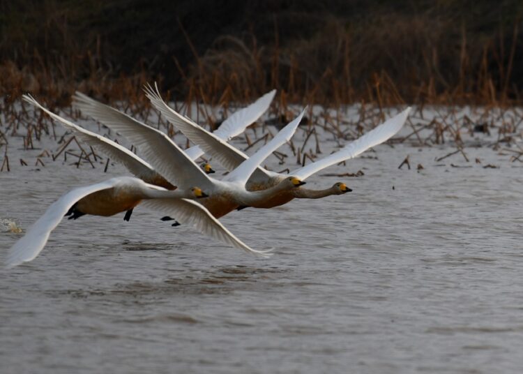 10 Creative Ways to Start an Emergency Fund with No Money: Unlock Financial Security Today!