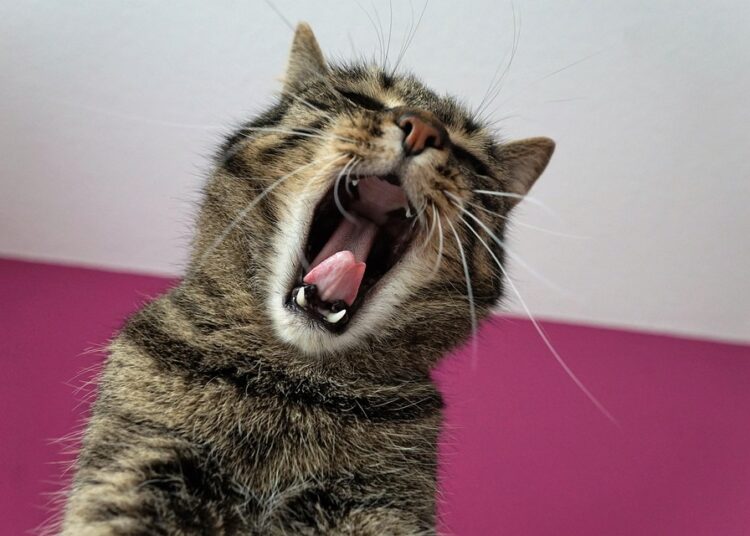 10 Effective Strategies on How to Deal with Debt Stress and Regain Control of Your Finances