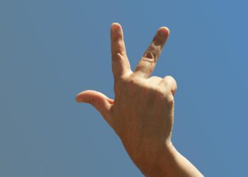 10 Essential Investment Terms Every Beginner Should Know to Succeed