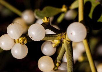 10 Practical Tips for Making the Most of Your Money in Today’s Economy