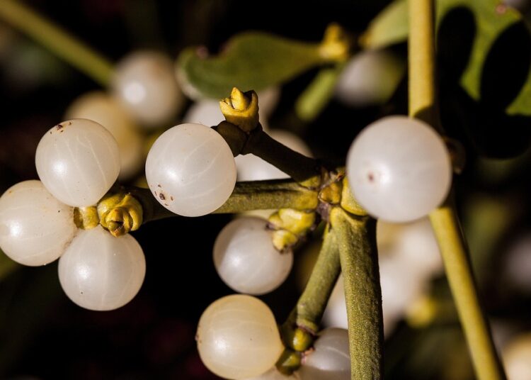 10 Practical Tips for Making the Most of Your Money in Today’s Economy