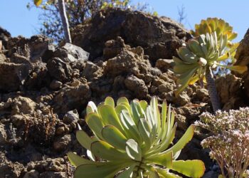 10 Signs Frugal Living Isn’t as Depressing as You Think: Embrace the Savings!