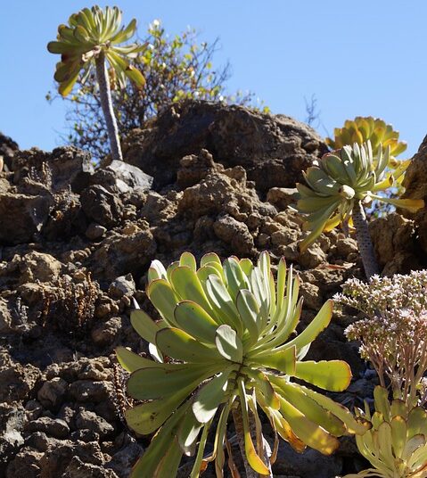 10 Signs Frugal Living Isn’t as Depressing as You Think: Embrace the Savings!