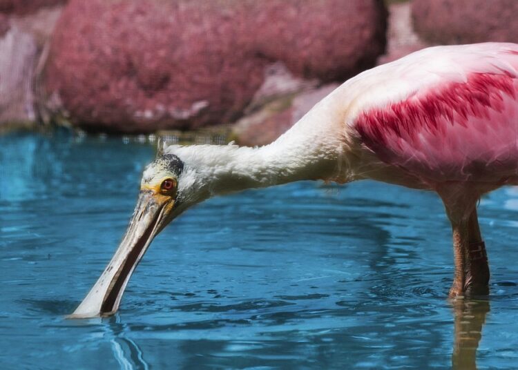 10 Simple Tips to Reduce Monthly Bills and Boost Your Savings Today!