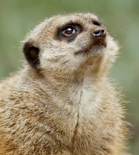 10 Sneaky Bank Fees to Watch Out For and How to Avoid Them