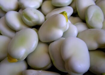 10 Steps to Cultivating a Healthy Money Mindset for Financial Freedom