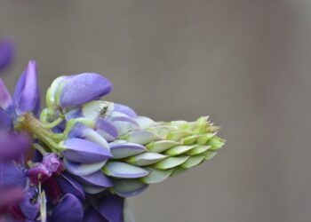 30 Frugal Living Tips for Beginners: Master Your Personal Finances Without Sacrificing Fun!