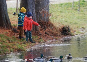 Betterment Review: Is This Robo-Advisor Worth Your Investment?