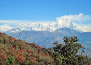 Budgeting Tips for Millennials: How to Build a Flexible Budget That Works for You