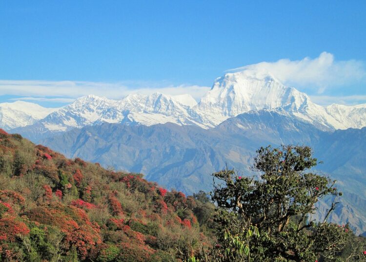 Budgeting Tips for Millennials: How to Build a Flexible Budget That Works for You Budgeting Tips for Millennials: How to Build a Flexible Budget That Works for You