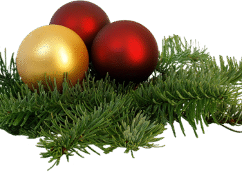 Fixed vs Adjustable-Rate Mortgages: Which is Right for Your Financial Future?