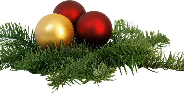 Fixed vs Adjustable-Rate Mortgages: Which is Right for Your Financial Future?