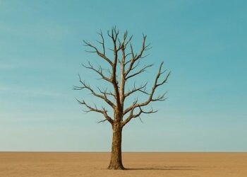 Frugality vs Minimalism: Which Lifestyle Will Save You More Money?