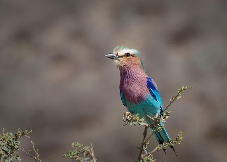 How Long Does Information Stay on Your Credit Report? A Comprehensive Guide for Consumers