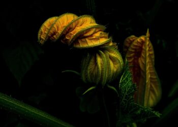 How Much Do Robo-Advisors Cost? A Comprehensive Guide to Fees and Charges