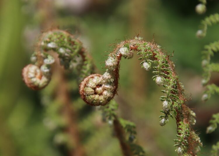 How to Become a Virtual Assistant: Your Ultimate Step-by-Step Guide