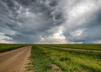 How to Build Your Wealth: 7 Essential Steps to Reach a 100k Net Worth