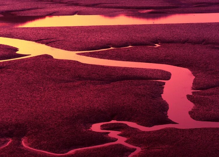 How to Calculate Your FI Number: A Step-by-Step Guide to Financial Independence