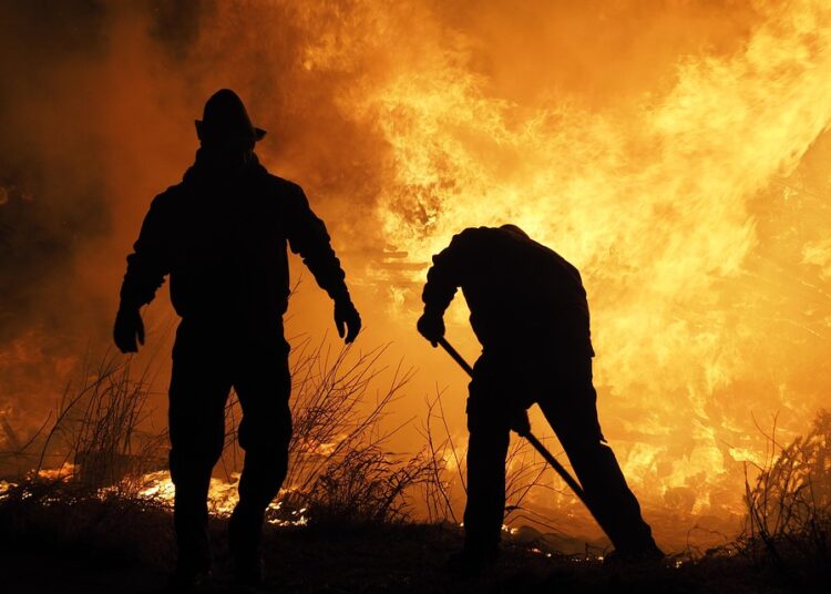 How to Do a Spending Freeze: A Step-by-Step Guide for Financial Freedom