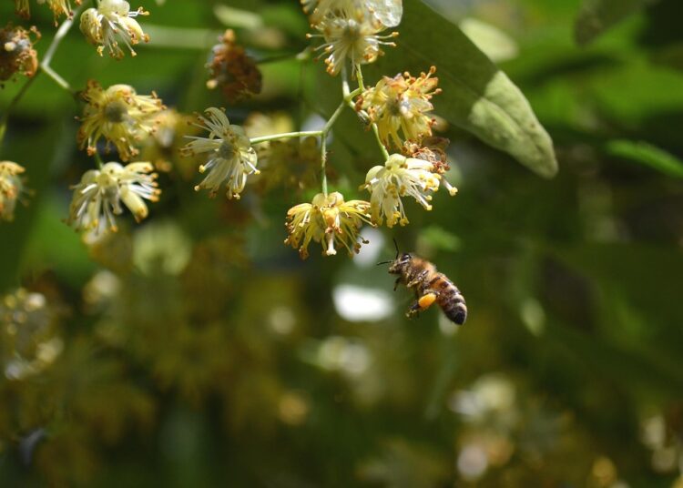 How to Easily Track Your Net Worth in Excel: A Step-by-Step Guide