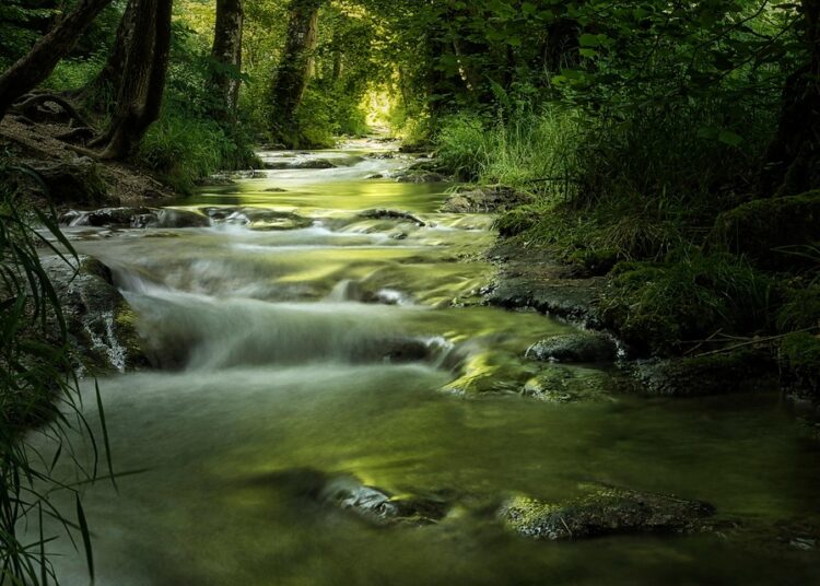 How to Find the Best Personal Loans for Bad Credit: A Step-by-Step Guide