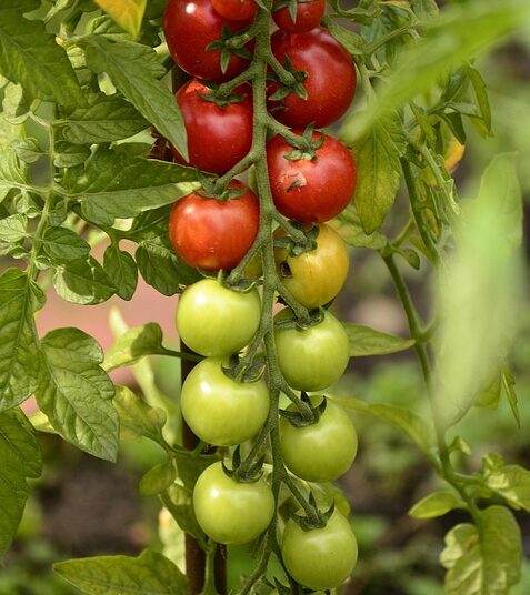 How to Furnish a House on a Budget: 10 Smart Strategies to Transform Your Space