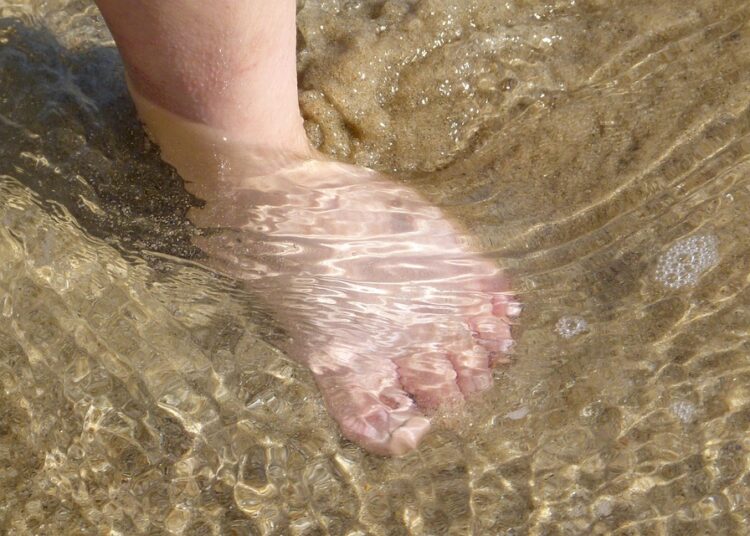 How to Get Your Free Credit Report: A Step-by-Step Guide for First-Timers