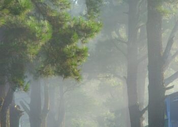 How to Learn About Investing: A Step-by-Step Guide for Beginners