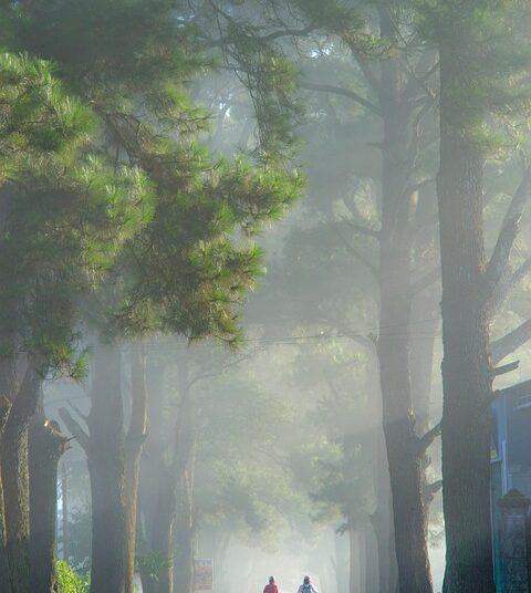 How to Learn About Investing: A Step-by-Step Guide for Beginners