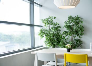 How to Live a Simple and Frugal Life: 10 Essential Tips for a Stress-Free Lifestyle