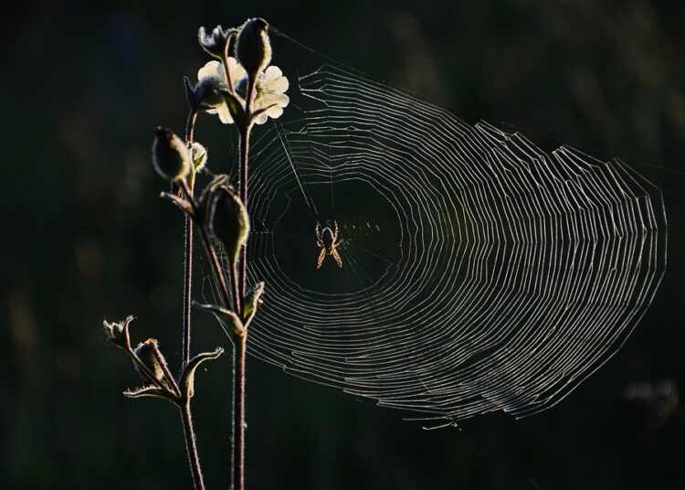 How to Master the Reverse Budgeting Method: A Step-by-Step Guide for Financial Success How to Master the Reverse Budgeting Method: A Step-by-Step Guide for Financial Success