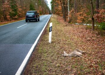 How to Practice Financial Prudence: 7 Essential Tips for Long-Term Stability