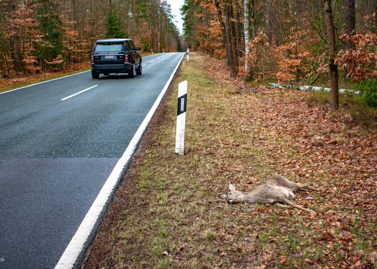 How to Practice Financial Prudence: 7 Essential Tips for Long-Term Stability